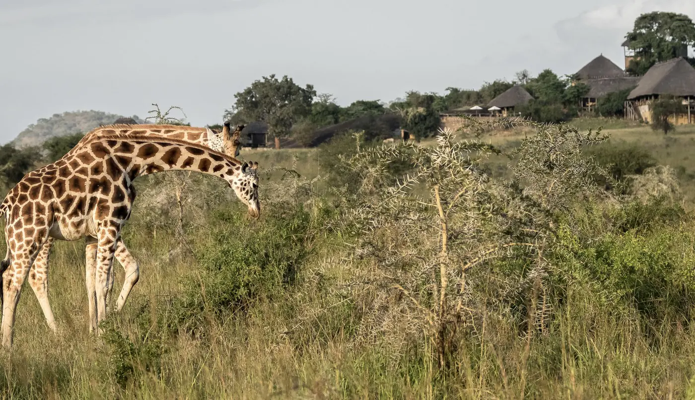 Kidepo National Park