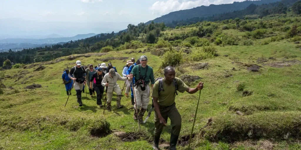 3 Day Rwanda gorilla trekking trip