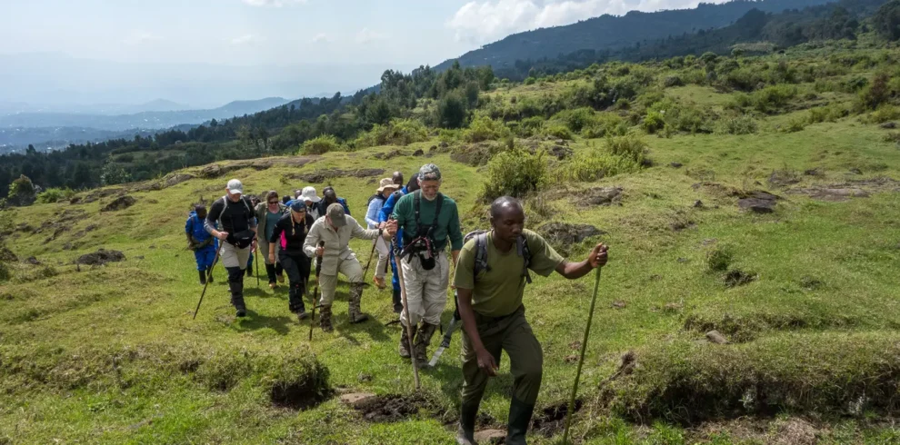 3 Day Rwanda gorilla trekking trip