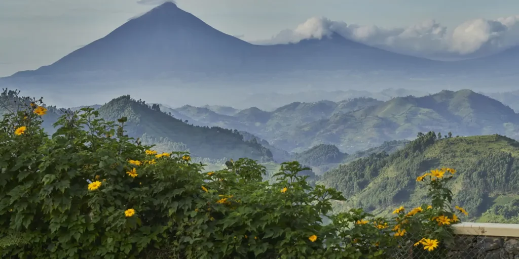 14 Days Best Of Uganda Safari Tour