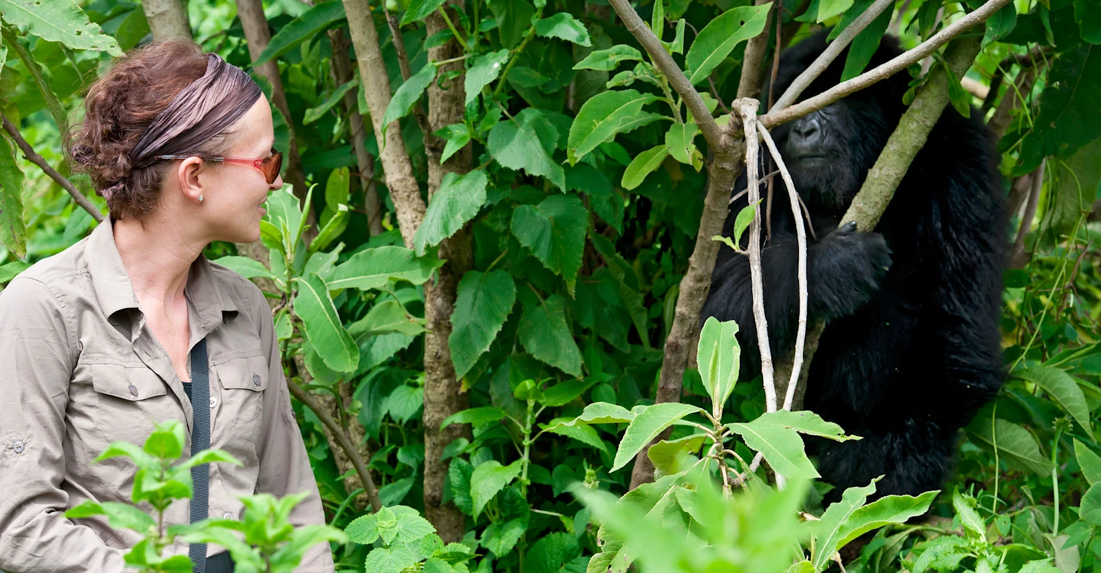 Hair Tie-Gorilla Trekking Packing List