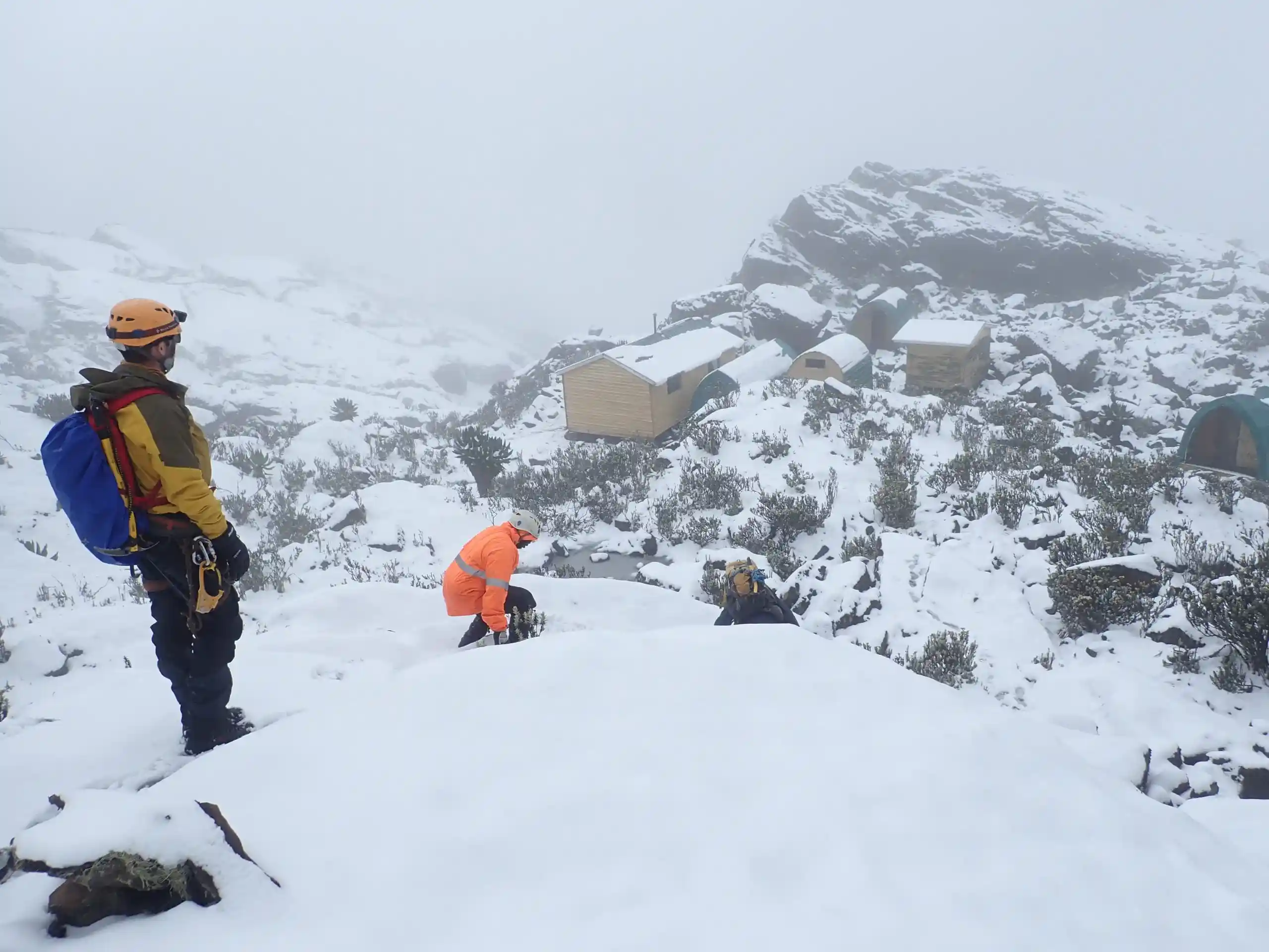 Hiking in Uganda, Rwenzori Mountains