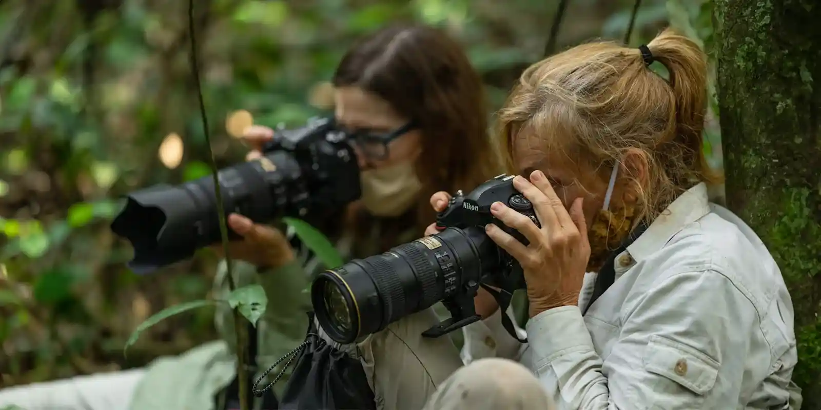 A group taking photos of gorillas moving in the foliage of Bwindi.