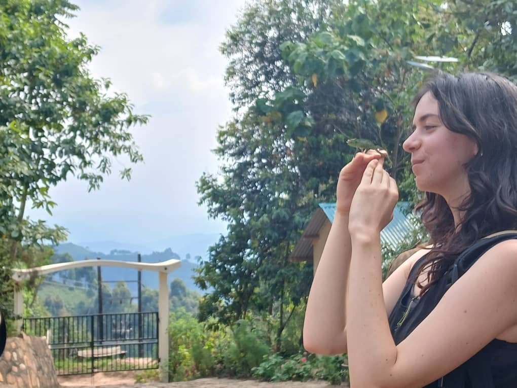 Orugano Bwindi Lodge